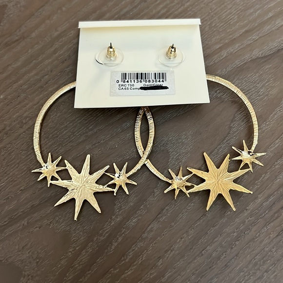 Beautiful Earrings by Amrita Singh - Picture 3 of 3